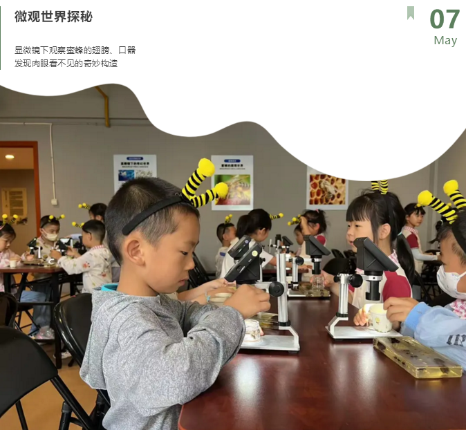 2345截图20250529152757.png